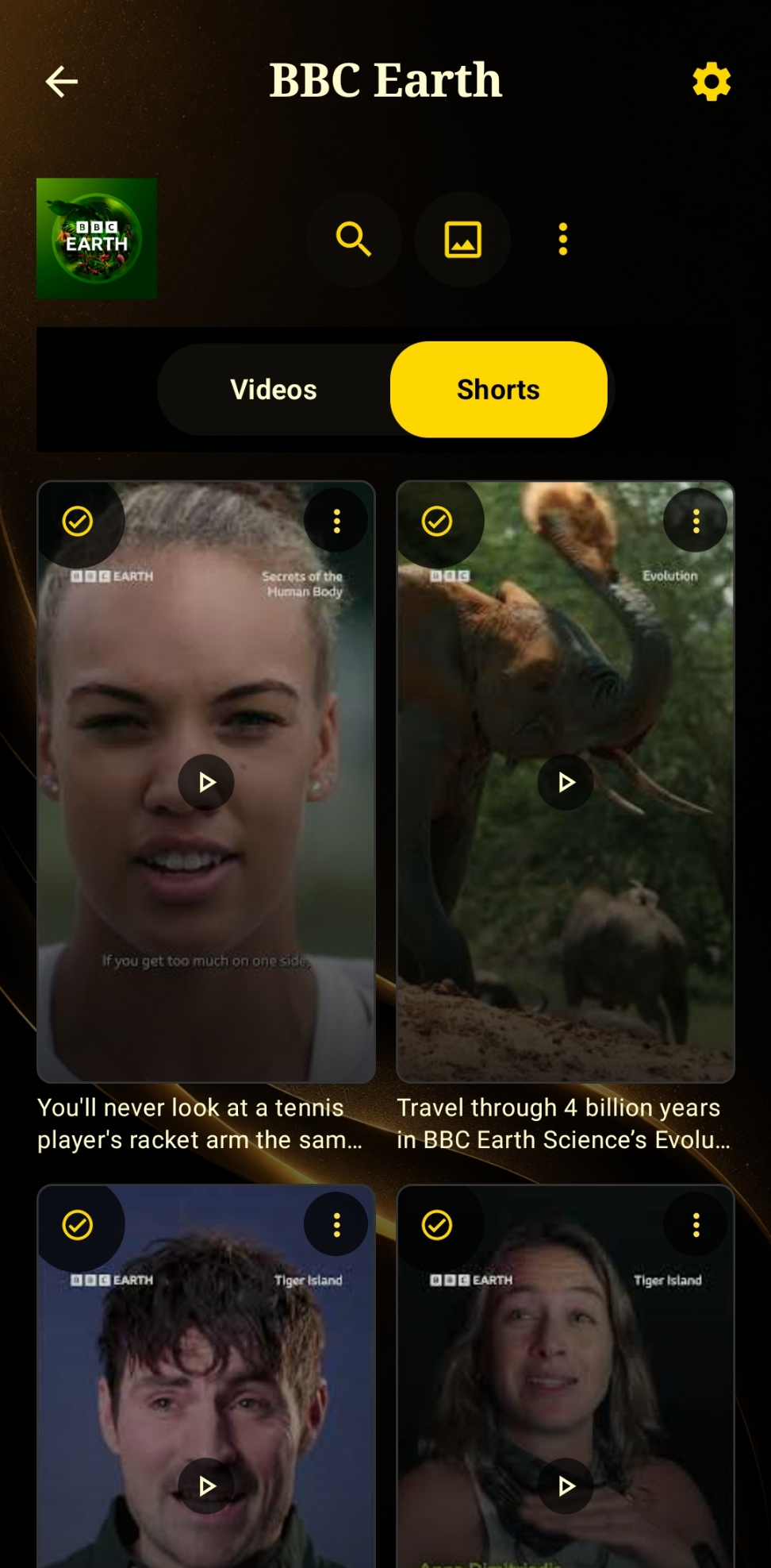 Channel shorts tab kept separate from long-form videos