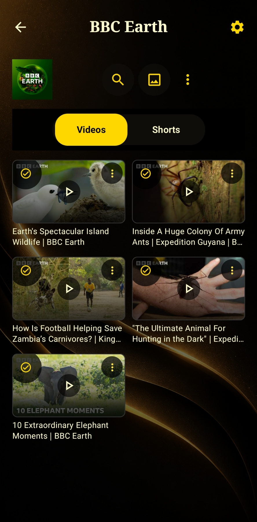 Channel videos tab showing a clean chronological grid